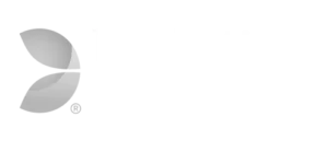 Evo Gaming